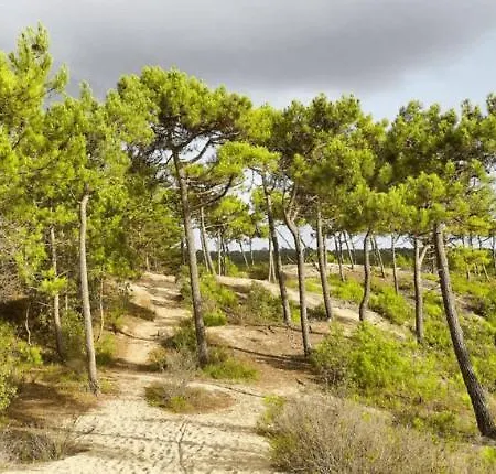 Les Bains De Σπίτι διακοπών Saint-Hilaire-de-Riez
